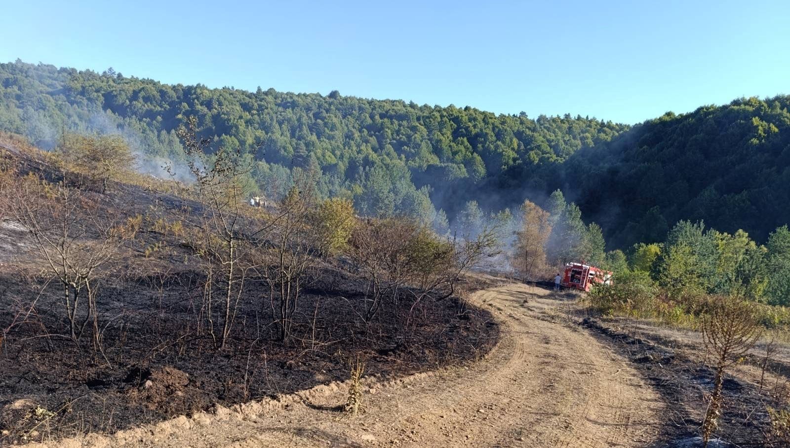 bilecik pazaryeri yangini buyumeden sonduruldu VyfQCb4H