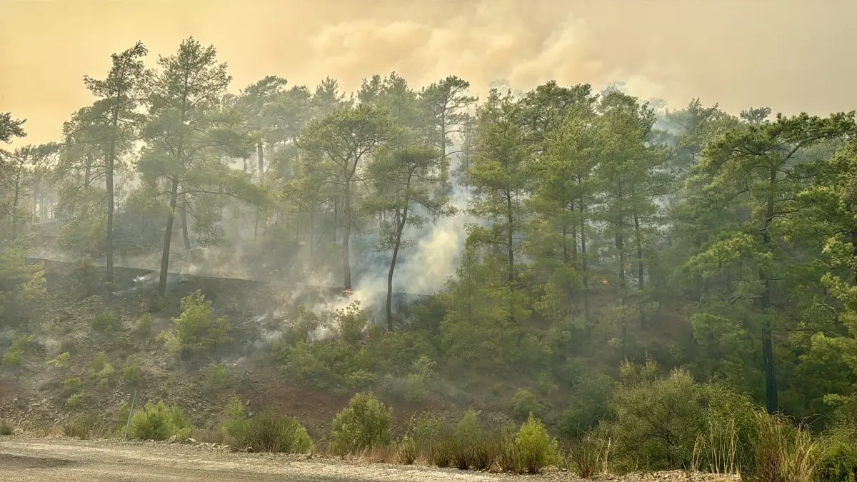 koycegizde orman yangini ikinci gunde JcI98Cj8