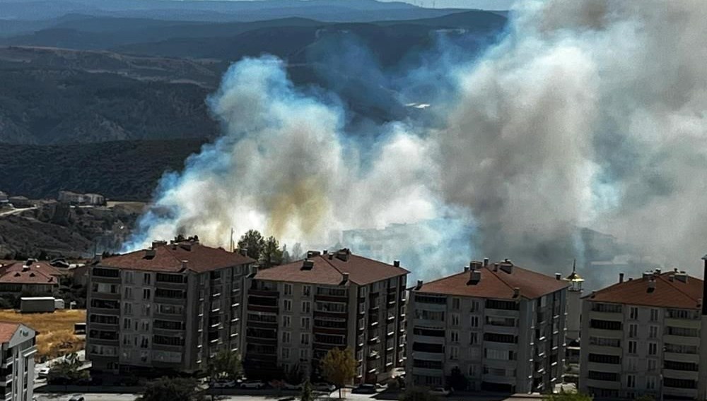 salca icin bileciki yakti WiyBp9Eq