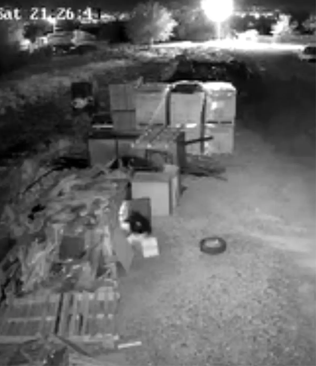 elazigda guvercin hirsizligi guvenlik kamerasinda HhRO2e69.jpg