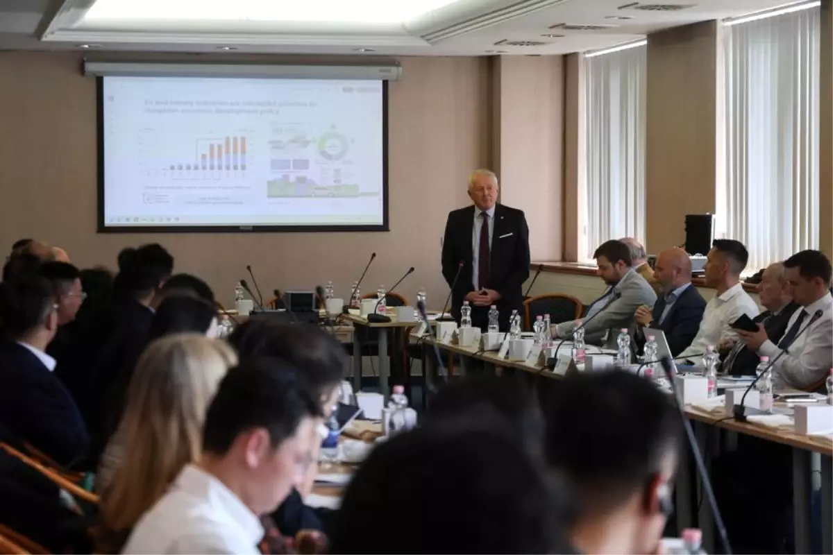 macaristan ile cin batarya geri donusumunde isbirligi yapiyor R3AegJ4j.jpg